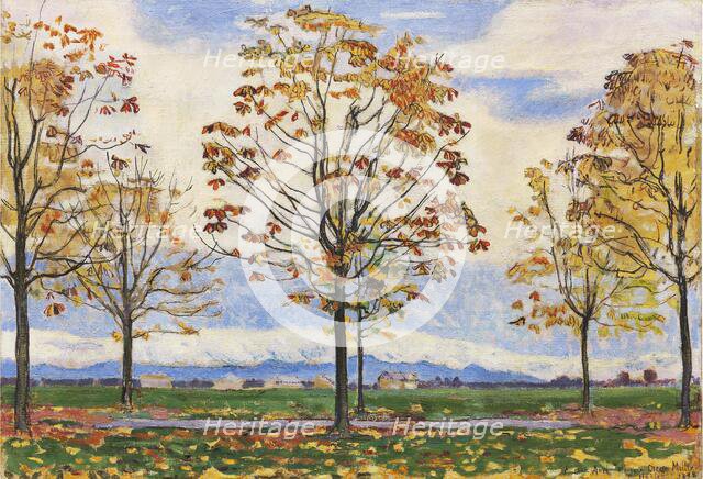 Chestnut avenue near Biberist, 1898. Creator: Hodler, Ferdinand (1853-1918).
