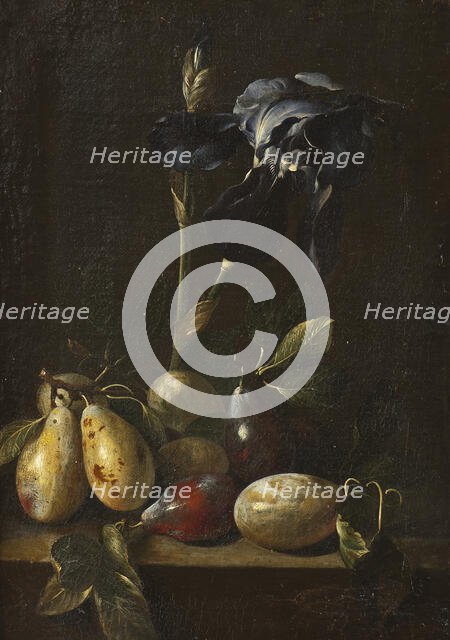 Still Life with an Iris and Plums. Creator: Attributed to Pietro Paolo Bonzi  (1576-1636).