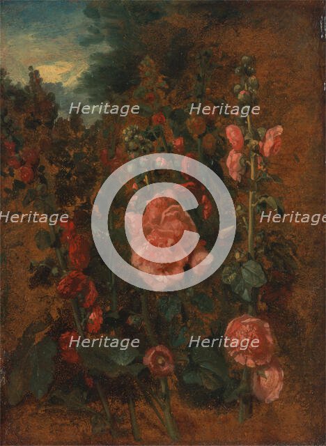 Study of Hollyhocks, ca. 1826. Creator: John Constable.