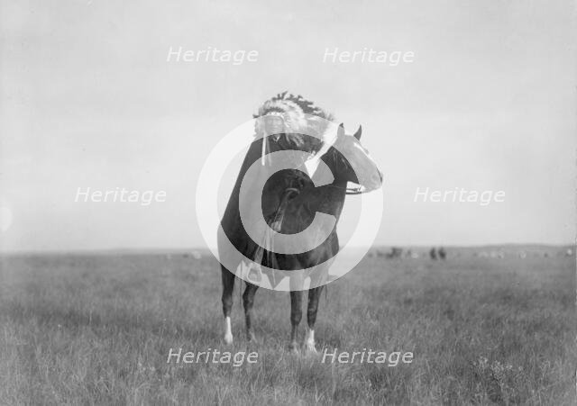 The Prairie Chief, c1907. Creator: Edward Sheriff Curtis.
