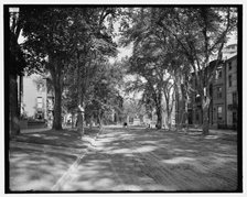 State Street, looking toward Longfellow monument, Portland, Me., between 1900 and 1915. Creator: Unknown.
