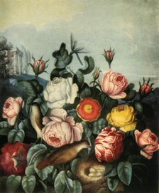 'Roses', 1799, (1944).  Creator: Richard Earlom.