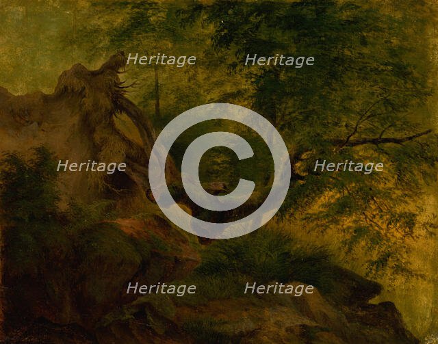 Uprooted tree, 1860-1870. Creator: Jozef Bozetech Klemens.