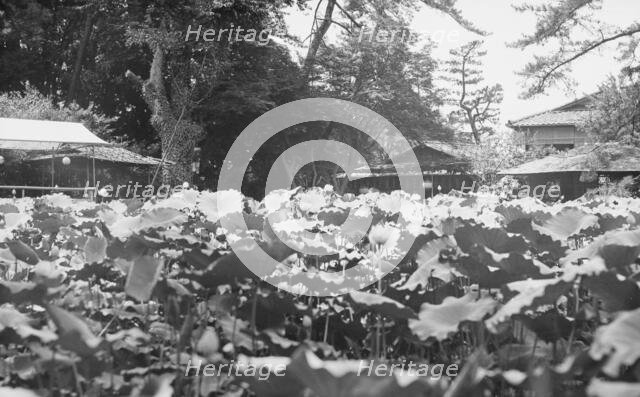 Travel views of Japan and Korea, 1908. Creator: Arnold Genthe.