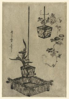 Arrangements of Irises and Morning Glories, Japan, About 1785. Creator: Kitagawa Utamaro.