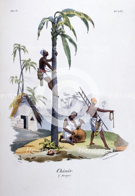 'Chanar', 1828. Artist: Jean Henri Marlet