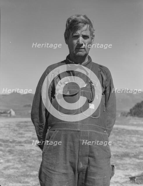 Former tenant farmer from Texas now working in California as a pea picker, Nipomo, California, 1937. Creator: Dorothea Lange.