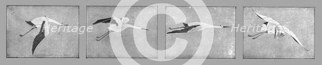 ''Un Vaillant; Les insignes des quatre escadrilles de chasse formant le groupe des Cigognes', 1915. Creator: Unknown.