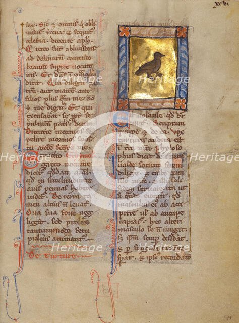 A Turtle Dove; Bestiary, about 1270. Creator: Unknown.