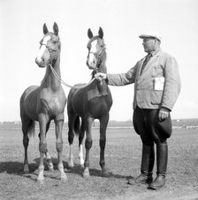 A horse breeder, Sweden, 1954. Artist: Unknown