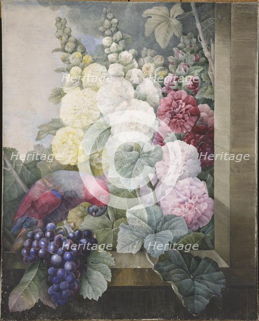 Hollyhocks, grapes and a parrot, 1836. Creator: Redouté, Pierre-Joseph (1759-1840).