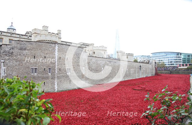 'Blood Swept Lands and Seas of Red', Tower of London, 2014.  Artist: Sheldon Marshall