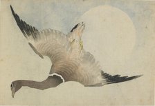 Goose flying in front of the moon, late 18th-early 19th century. Creator: Hokusai.