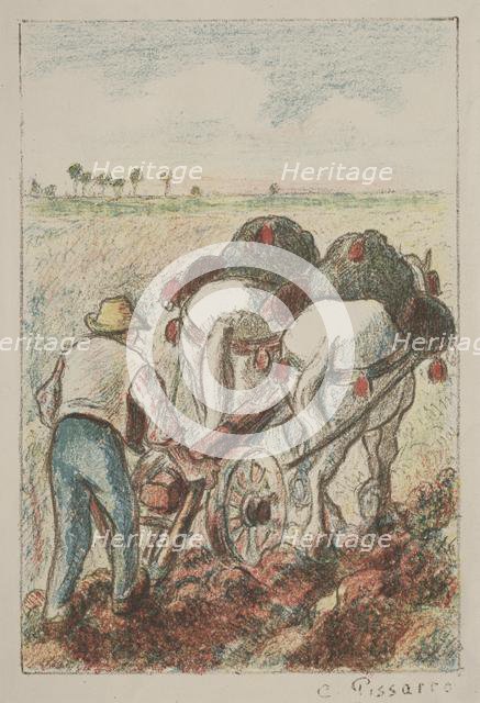 La Charrue, 1901. Creator: Camille Pissarro (French, 1830-1903).