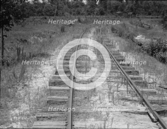 The lumber mill closed, the track is being torn up, Careyville, Florida, 1937. Creator: Dorothea Lange.