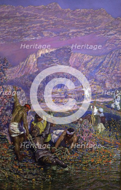 Out of the water' (part 2, chapter 29), episode of Don Quixote, character of Miguel de Cervantes …