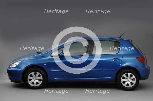 2003 Peugeot 307 Artist: Unknown.
