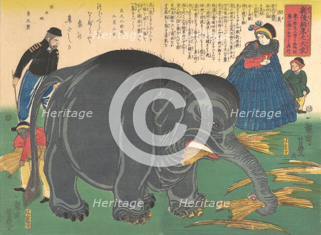 Newly Imported Great Elephant, 2nd month, 1863., 2nd month, 1863. Creator: Ichiryusai Yoshitoyo.