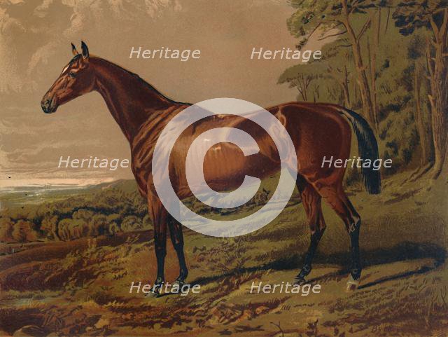 'Fair Nell', c1879. Creator: Unknown.