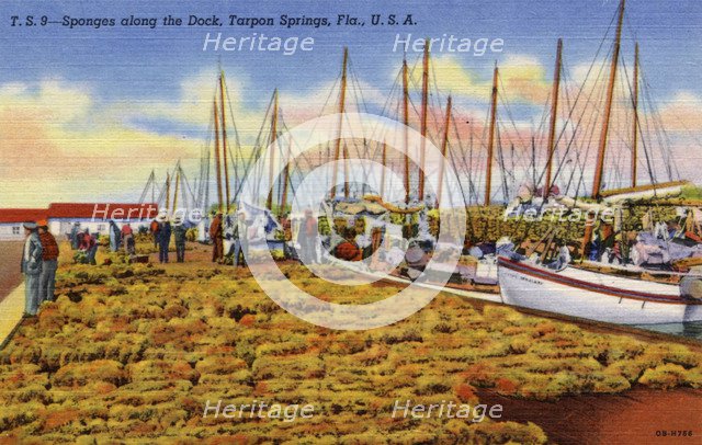 Sponges on the dockside, Tarpon Springs, Florida, USA, 1940. Artist: Unknown