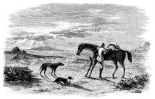 Antelope-Hunting in India - Preparing to Return, 1858. Creator: Unknown.