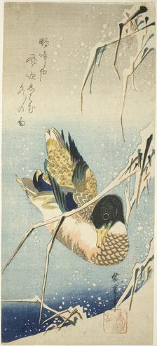 A Wild Duck Swimming by a Snow-covered Bank beneath Snow-laden Reeds, 1830s. Creator: Ando Hiroshige.