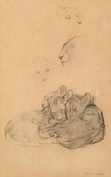 Ceylonese Leopard Cubs. Creator: John MacAllan Swan.