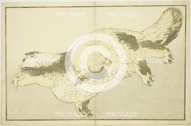 Fox, from The Picture Book of Realistic Paintings of Hokusai (Hokusai shashin gafu), Japan, c. 1814. Creator: Hokusai.