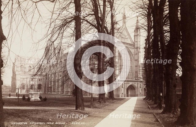 Winchester Cathedral from the Avenue, between 1870 and 1880. Creator: James Valentine.