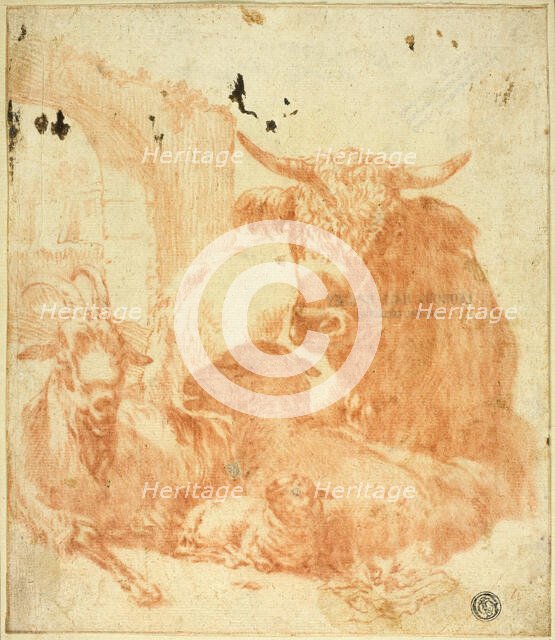 Cow, Goat, Sheep Lying Down in Ruins, n.d. Creators: Jan Roos, Paulus Potter.