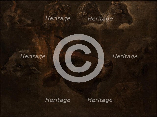 Studies of Animal Heads, between 1835 and 1840. Creator: Thomas Cole.