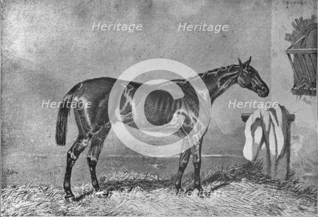 'Ellington', 1853-1870, (1911). Artist: Unknown.