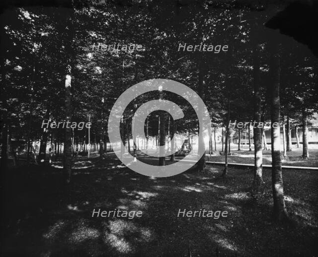 Grove, Bay View, Mich., The, between 1890 and 1905. Creator: Unknown.