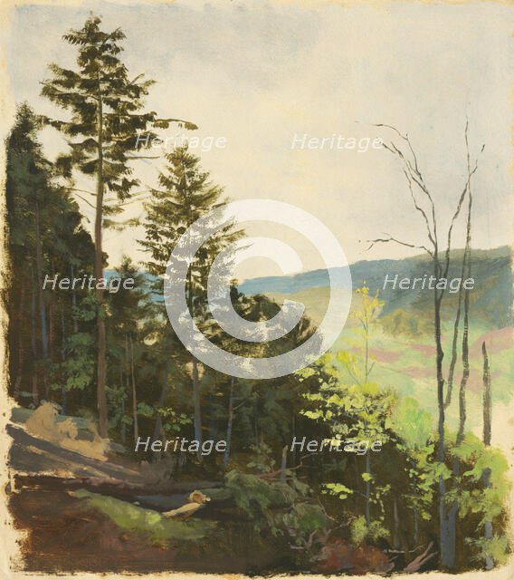 Hill with scrub, 1850-1900. Creator: Jan Nowopacký.