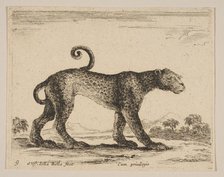 Plate 9: leopard, from 'Various animals' (Diversi animali), ca. 1641. Creator: Stefano della Bella.