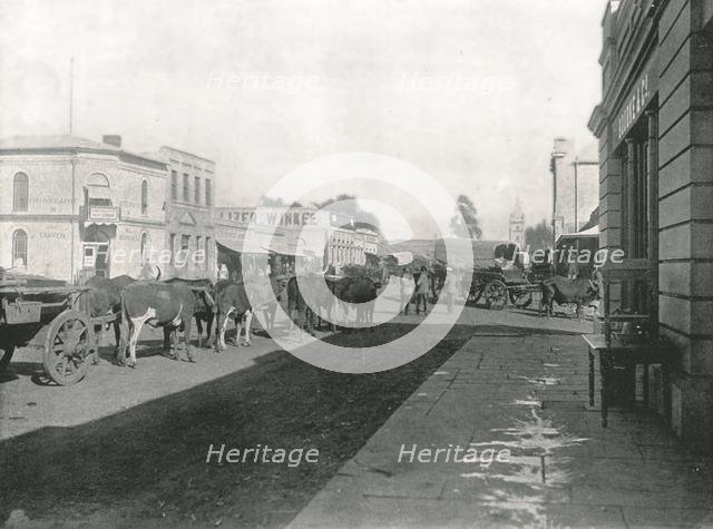 Street scene, Pretoria, South Africa, 1895.  Creator: William Laws Caney.
