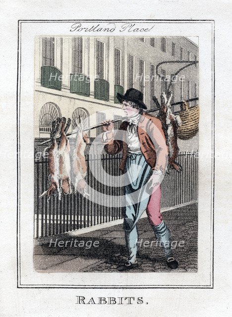 'Rabbits', Portland Place, London, 1805. Artist: Unknown