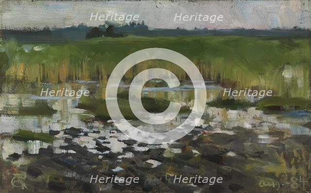 The Rushes, 1884. Creator: Akseli Gallen-Kallela.