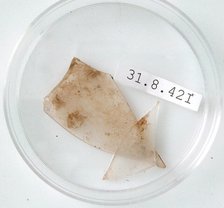 Glass Fragments, Coptic, 4th century. Creator: Unknown.