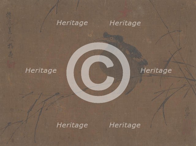 Mynah on Reed. Creator: Attributed to Fulan Taorên.