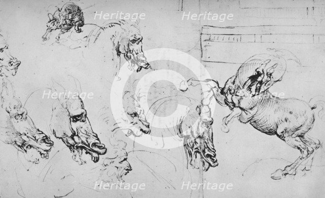 'Studies of Horses' Heads and of a Rearing Horse', c1480 (1945). Artist: Leonardo da Vinci.