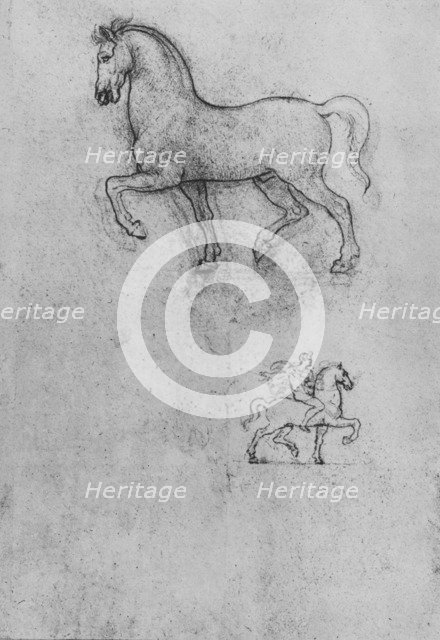'Studies of a Horse and one of a Horse and Rider', c1480 (1945). Artist: Leonardo da Vinci.