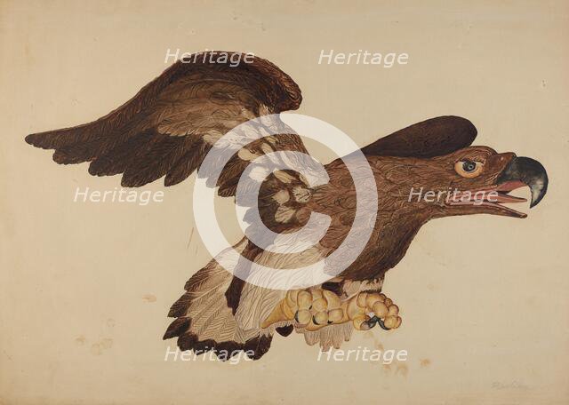 Carved Wooden Eagle, c. 1939. Creator: Robert Gilson.