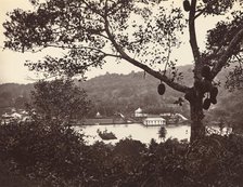 A Peep from Upper Lake Road showing Temple and Island with Park - fruit tree in foreground, c1865. Creator: Samuel Bourne.