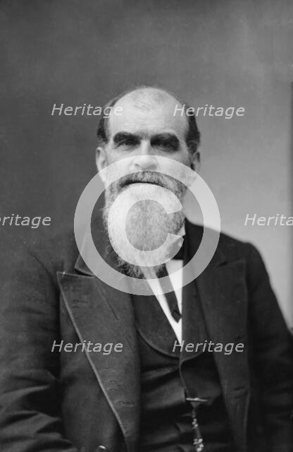 Sen. Richard Coke, Texas, between 1870 and 1880. Creator: Unknown.