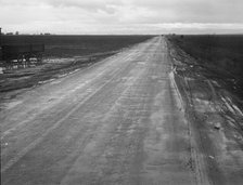County road between potato fields, Kern County, California , 1939. Creator: Dorothea Lange.