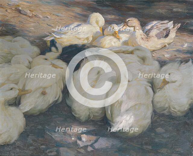 In the evening sun, c1900. Creator: Alexander Koester.