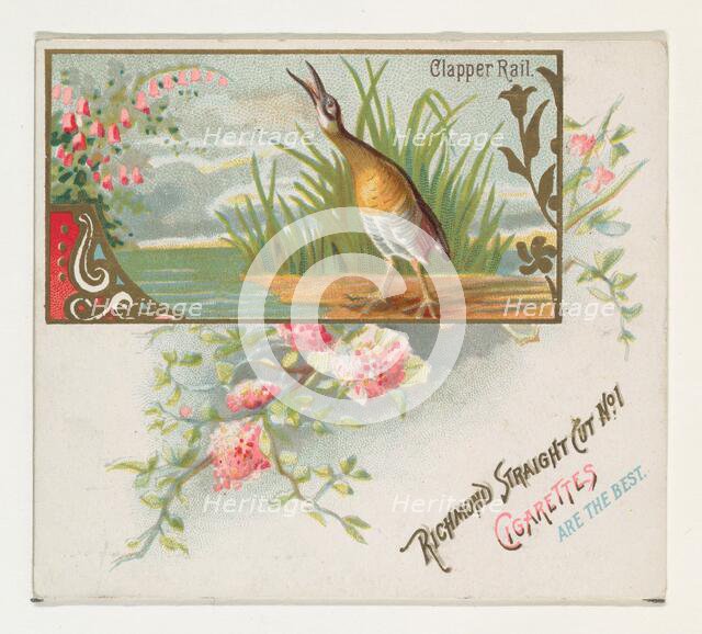 Clapper Rail, from the Game Birds series (N40) for Allen & Ginter Cigarettes, 1888-90. Creator: Allen & Ginter.
