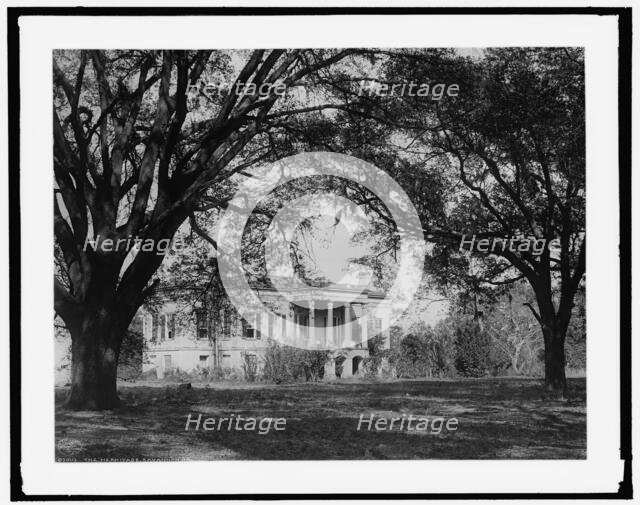 The Hermitage, Savannah, Ga., 1907 Oct 15, c1907. Creator: Unknown.