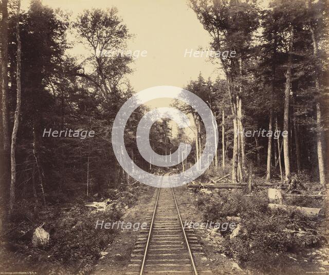 Ganoga Lake Branch, c. 1895. Creator: William H Rau.
